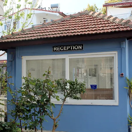 Papaya 3* Σιντέ