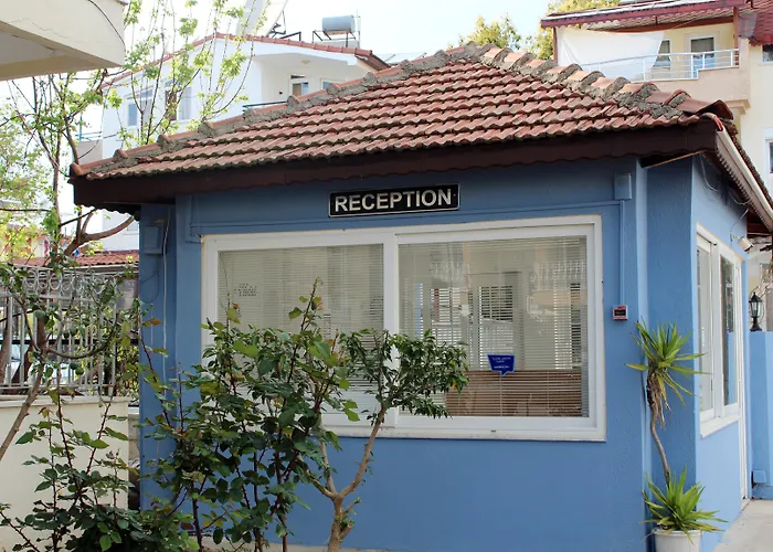 Papaya 3* Σιντέ